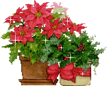 Image:Pointsetta-sparkle.gif