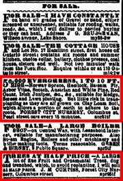 1874 newspaper ads for Forest City Nursery